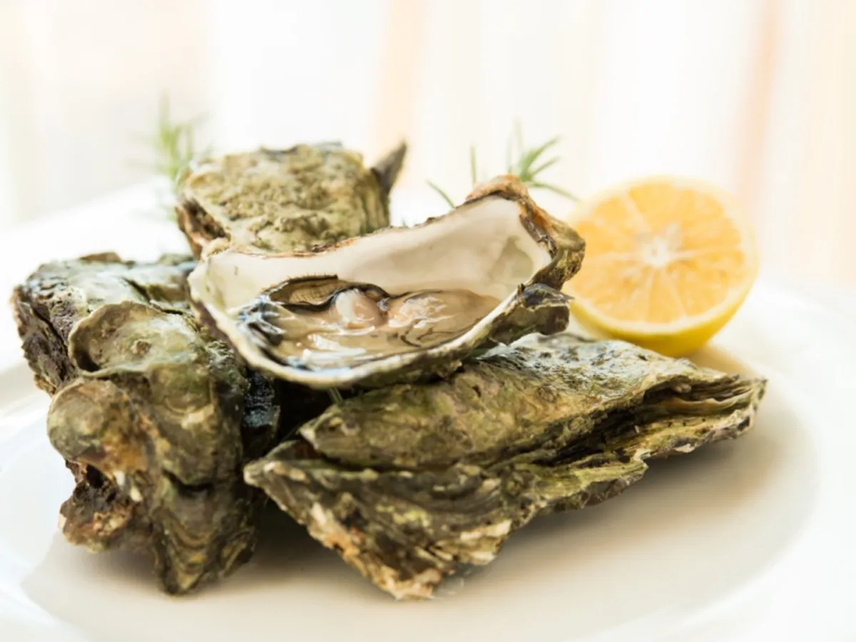 Filozofija restavracije